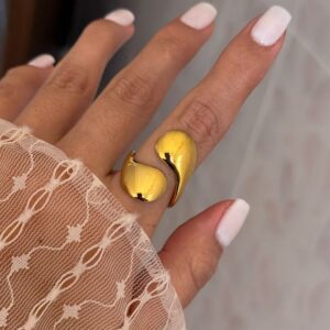 Anillo nara