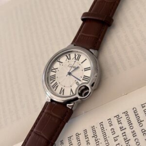 Reloj Seiko Bronw